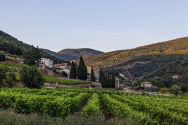Günbatımında Haut-Languedoc Bölgesel Doğal Parkı 'ndaki Roquebrun' da Hamlet 'i Ceps