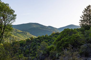 Roquebrun 'daki Ceps köyünden Haut-Languedoc Bölgesel Parkının Dağları ve Ormanları