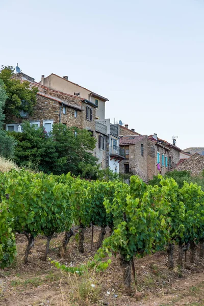 Günbatımında Haut-Languedoc Bölgesel Doğal Parkı 'ndaki Roquebrun' da Hamlet 'i Ceps
