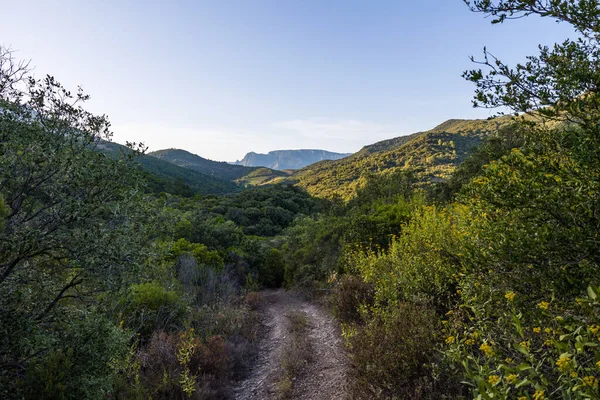 Mountains and forest of the Haut-Languedoc Regional Natural Park from the hamlet of Ceps in Roquebrun