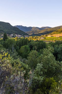 Gün batımında Ceps köyünü, ormanını, üzüm bağlarını ve Haut-Languedoc Bölgesel Doğa Parkının dağlarını izleyin.