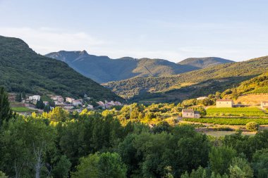 Gün batımında Ceps köyünü, ormanını, üzüm bağlarını ve Haut-Languedoc Bölgesel Doğa Parkının dağlarını izleyin.
