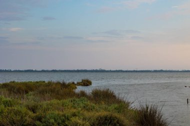 Gün batımında Etang de l 'Or' da Panorama Candillargues 'in küçük bataklığından