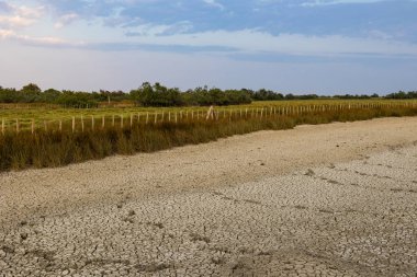 Gün batımında küçük Candillargues bataklığı, yazdan sonra tamamen kurudu.
