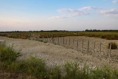 Gün batımında küçük Candillargues bataklığı, yazdan sonra tamamen kurudu.