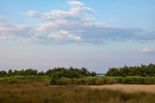 Kleiner Sumpf Von Candillargues Bei Sonnenuntergang Nach Dem Sommer Völlig — Stockfoto