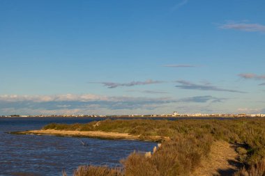 Esclavon 'dan Palavas-les-Flots' a, Arnel göletindeki adaya bakın.