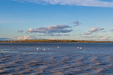 Esclavon 'dan Pic Saint-Loup manzarası, Arnel göletindeki doğal bir ada, sayısız pembe flamingoyla dolu.