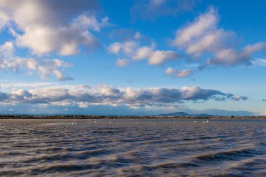 Esclavon 'dan Pic Saint-Loup manzarası, Arnel göletindeki doğal bir ada, sayısız pembe flamingoyla dolu.
