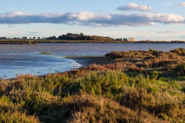 Esclavon 'dan Maguelone Yarımadası ve Katedrali
