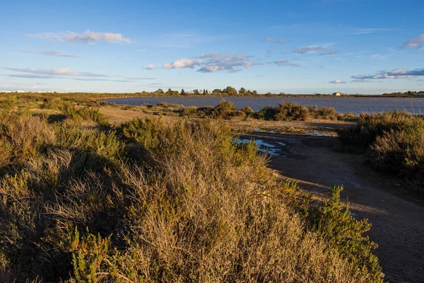Der Esclavon Eine Natürliche Insel Arnel Teich — Stockfoto