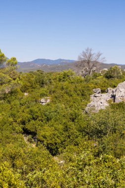 Sauve sur la Mer de Rochers köyünün yükseklerinden, Coutach Massif 'in kalbinden, kireçtaşı kayaları ve bitki örtüsünün kesiştiği yerden manzara.