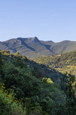 Roquebrun 'daki Haut-Languedoc Bölgesel Parkı' ndaki Hameau de Ceps 'deki Kürenin etrafındaki dağlar ve üzüm bağları