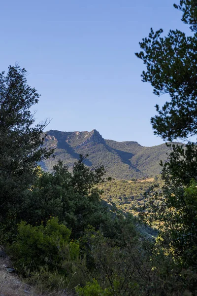 Roquebrun 'daki Haut-Languedoc Bölgesel Parkı' ndaki Hameau de Ceps 'deki Kürenin etrafındaki dağlar ve üzüm bağları