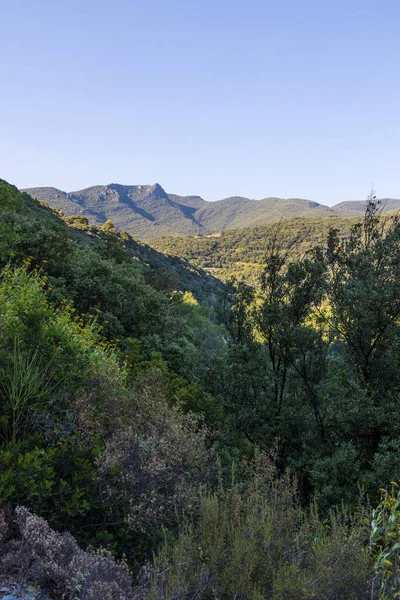 RoquebrunのHameau CepsのOrb周辺の山とブドウ畑 Haut Languedoc地域自然公園 — ストック写真