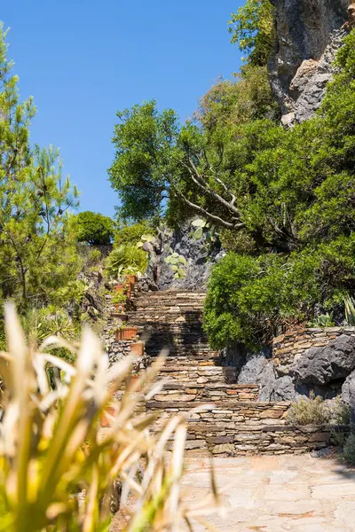 Alley Mediterranean Garden Roquebrun Summer — Stock Photo, Image