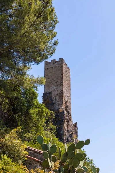 Toren Van Middeleeuwen Die Het Dorp Roquebrun Domineert — Stockfoto