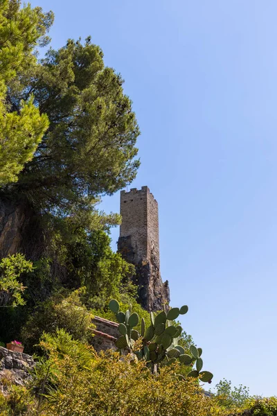 Πύργος Του Μεσαίωνα Δεσπόζει Στο Χωριό Roquebrun — Φωτογραφία Αρχείου