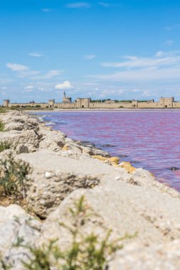 Aigues-Mortes surları Pembe tuz bataklığının önünde