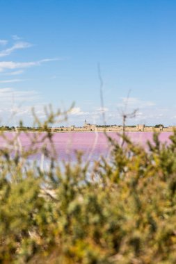 Aigues-Mortes surları Pembe tuz bataklığının önünde