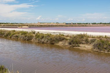 Aigues-Mortes surları Pembe tuz bataklığının önünde