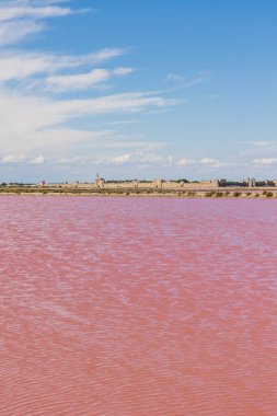 Aigues-Mortes surları Pembe tuz bataklığının önünde