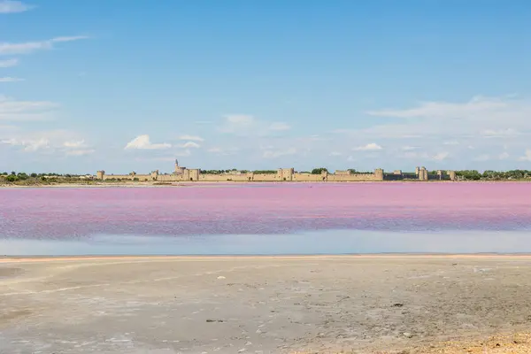 stock image Ramparts of Aigues-Mortes in front of the pink salt marshes