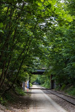 Paris 'in 18. Bölgesi' ndeki Petite Ceinture demiryolu hattının kalıntıları.