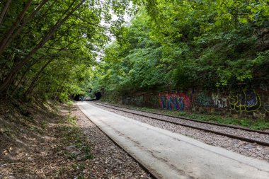 Paris 'in 18. Bölgesi' ndeki Petite Ceinture demiryolu hattının kalıntıları.