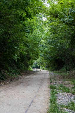 Paris 'in 18. Bölgesi' ndeki Petite Ceinture demiryolu hattının kalıntıları.