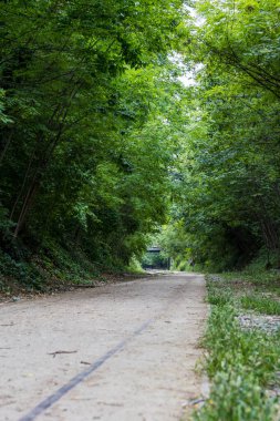 Paris 'in 18. Bölgesi' ndeki Petite Ceinture demiryolu hattının kalıntıları.