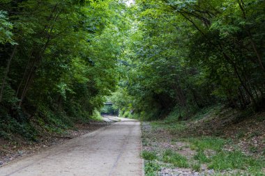 Paris 'in 18. Bölgesi' ndeki Petite Ceinture demiryolu hattının kalıntıları.