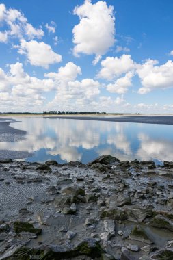Mont Saint-Michel Körfezi sular çekildiğinde