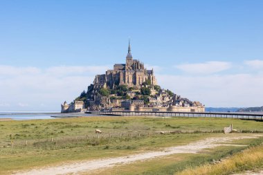 Mont Saint-Michel 'i bir tuz çayırının ve kuzularının önünde görün