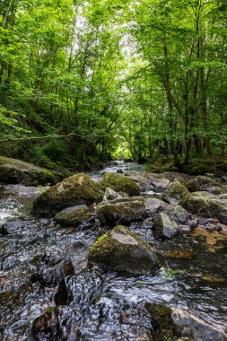 Cance Nehri Mortain 'de güneşli bir bahar gününde