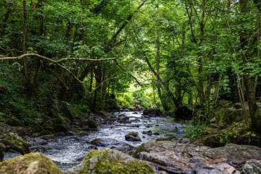 Cance Nehri Mortain 'de güneşli bir bahar gününde