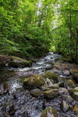 Cance Nehri Mortain 'de güneşli bir bahar gününde