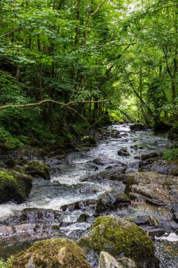 Cance Nehri Mortain 'de güneşli bir bahar gününde