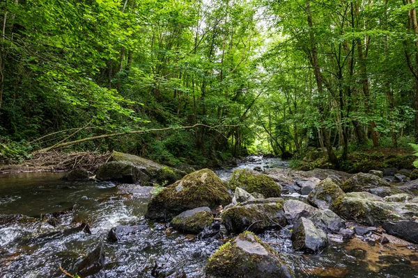 stock image Cance River at Mortain on a sunny spring day