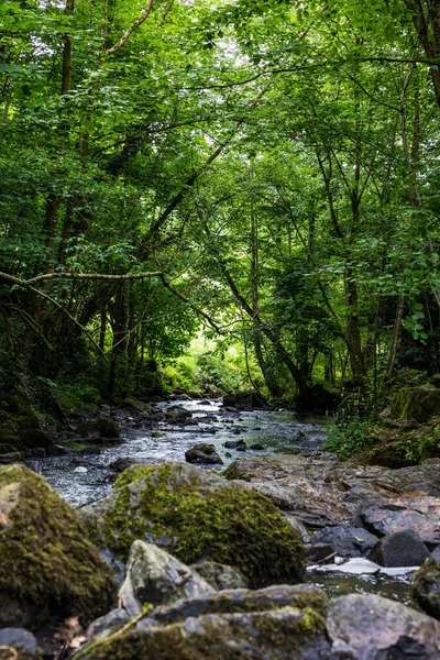 Cance Nehri Mortain 'de güneşli bir bahar gününde