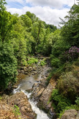 Büyük Mortain Şelalesi 'nin tepesinden Cance Nehri' ne bakın.