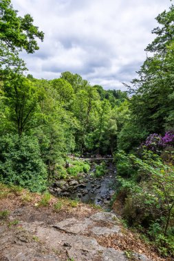 Büyük Mortain Şelalesi 'nin tepesinden Cance Nehri' ne bakın.