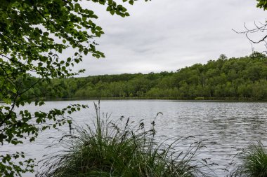 Bulutlu bir günde Andaine Ormanı 'nın göbeğindeki Etang de l' Ermitage 'a bakın.