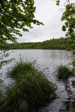 Bulutlu bir günde Andaine Ormanı 'nın göbeğindeki Etang de l' Ermitage 'a bakın.