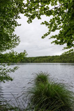 Bulutlu bir günde Andaine Ormanı 'nın göbeğindeki Etang de l' Ermitage 'a bakın.