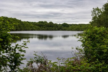 Bulutlu bir günde Andaine Ormanı 'nın göbeğindeki Etang de l' Ermitage 'a bakın.