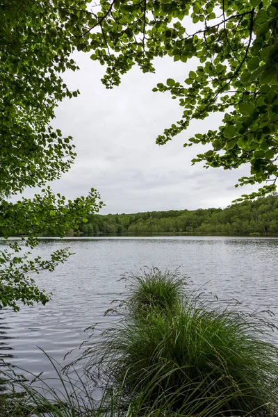 Stock image View on the Etang de l'Ermitage in the heart of the Andaine Forest on a cloudy day