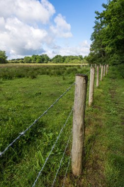 İlkbaharda Briouze 'daki Grand Haze Bataklığı' nda yürüyüş yaparken.