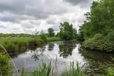 Güneşli bir bahar gününde Briouze 'deki Grand Haze Bataklığı' nın doğal manzarası