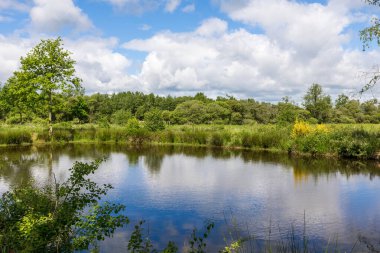 Güneşli bir bahar gününde Briouze 'deki Grand Haze Bataklığı' nın doğal manzarası